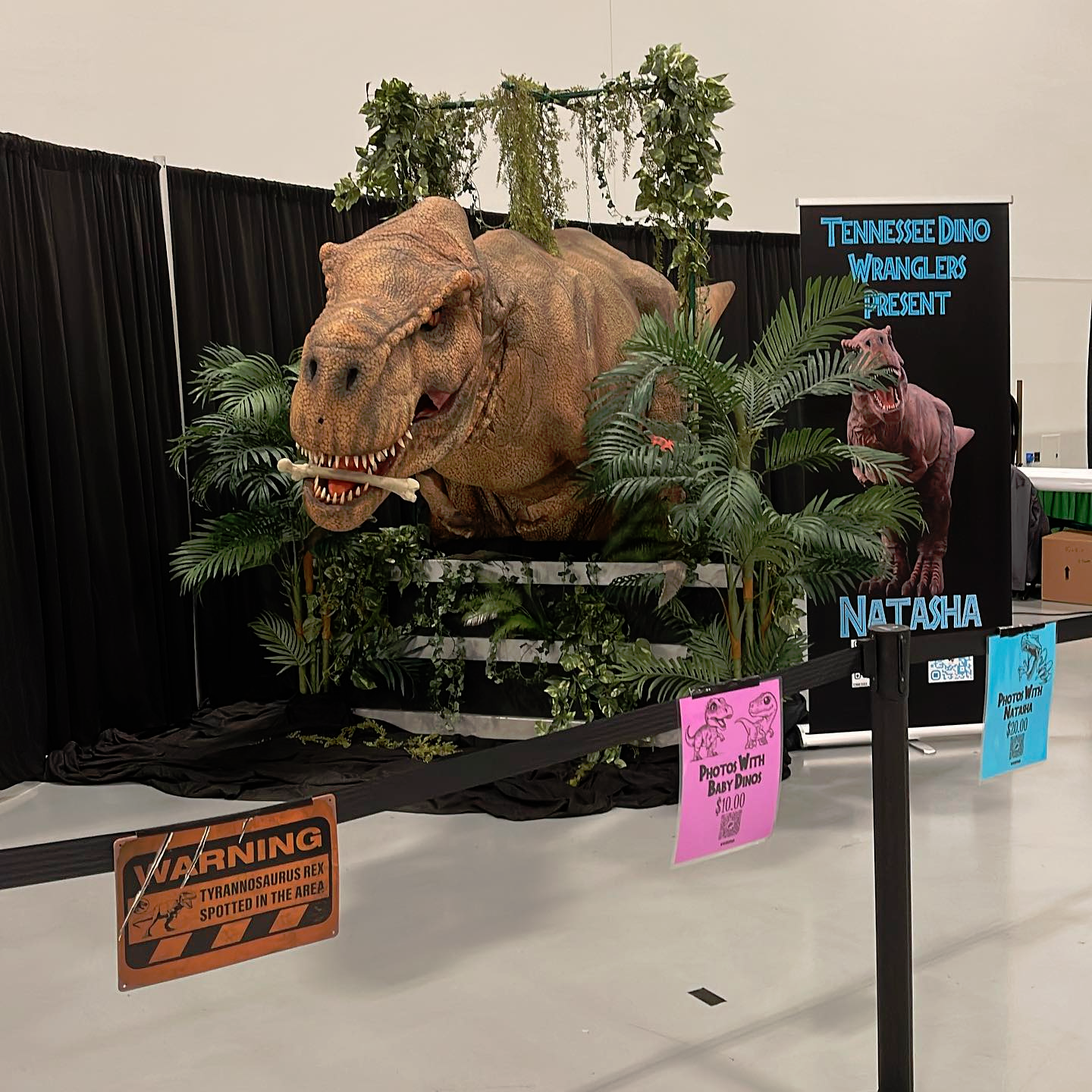 Get Your Picture Taken With Hatasha